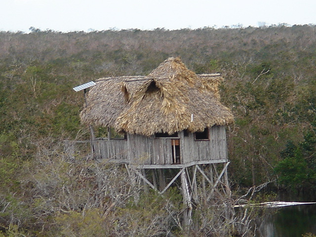 dsc00615.jpg